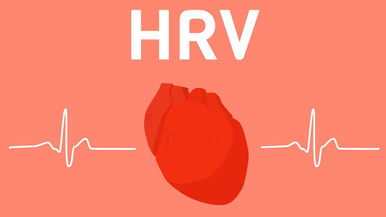 an-alternative-reference-index-to-monitor-fatigue-heart-rate