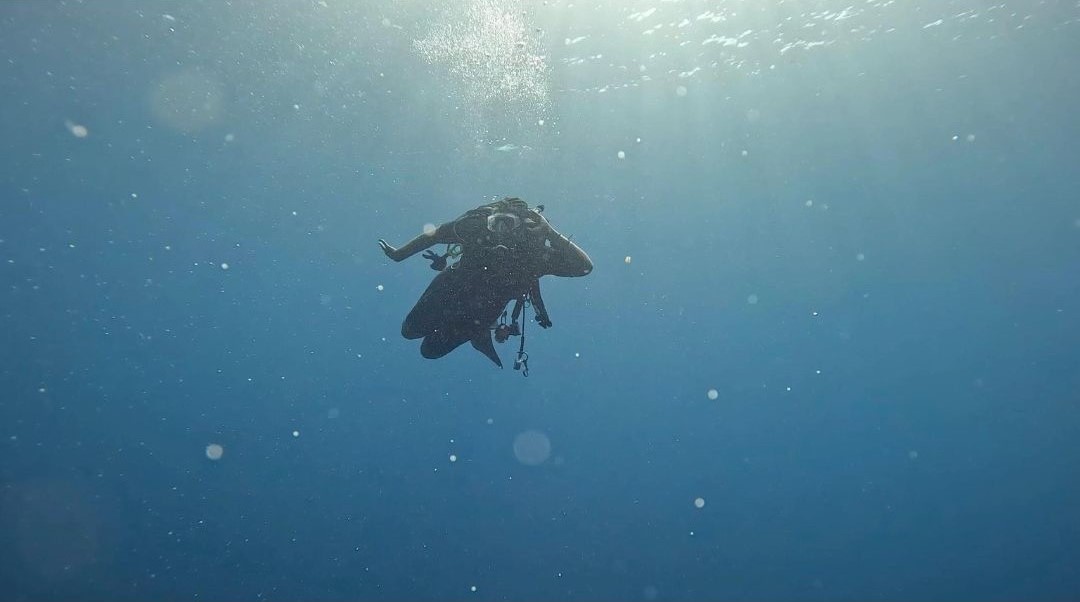 Garmin Diving-inReach