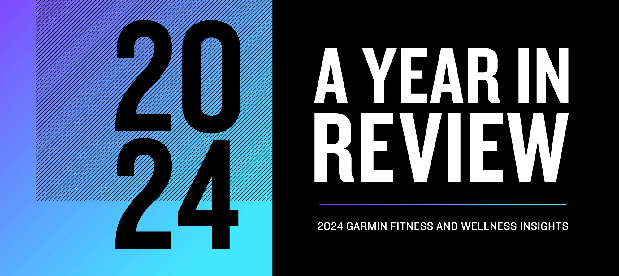 Garmin 2024 Year in Review