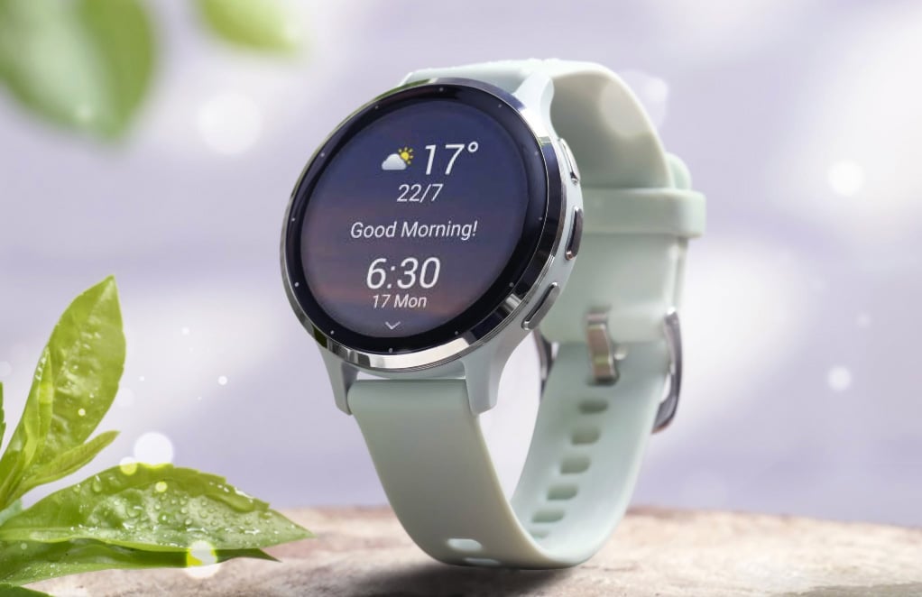 Garmin smartwatch morning report